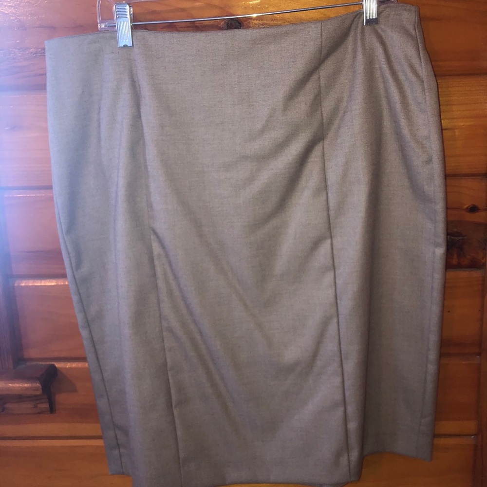 Ann Taylor Skirt